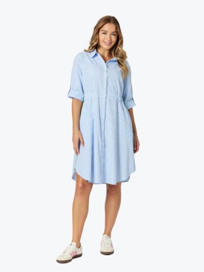 Threadz Skyler Stripe Dress in Blue/White